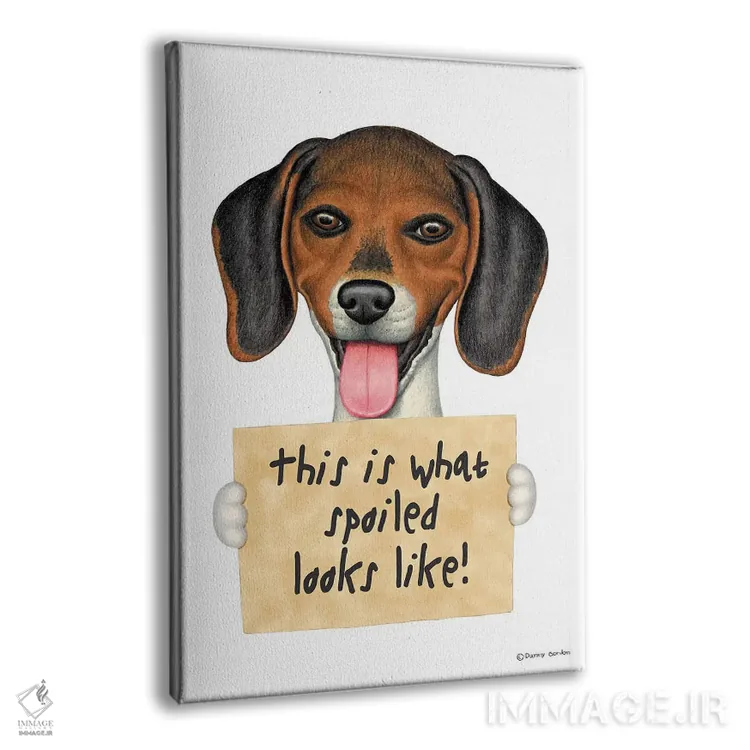 تابلو دکوراتیو بیگل لوس اثر دنی گوردون - نمای پرسپکتیو محصول