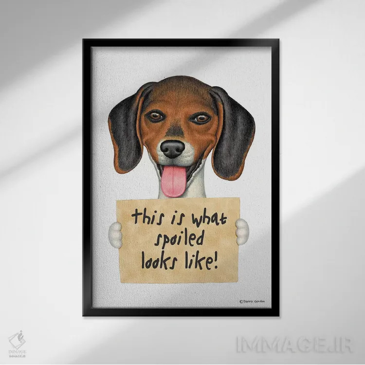 تابلو دکوراتیو بیگل لوس اثر دنی گوردون - نمای قابدار مشکی