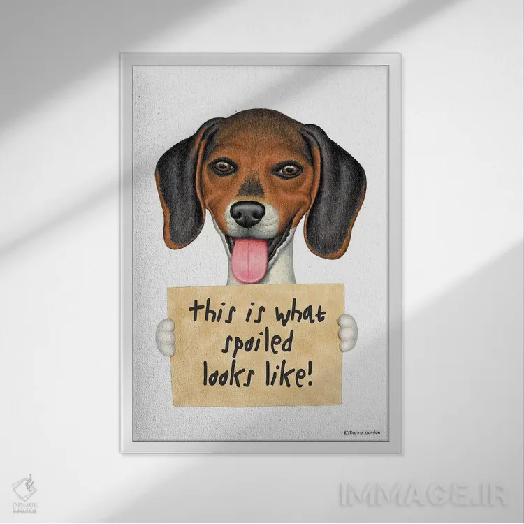 تابلو دکوراتیو بیگل لوس اثر دنی گوردون - نمای قابدار سفید