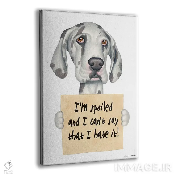 تابلو دکوراتیو گریت باور: من لوسم اثر دنی گوردون - نمای پرسپکتیو محصول