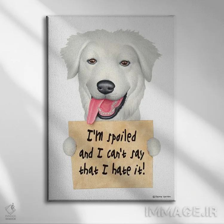 تابلو دکوراتیو گریت پیرنه اثر دنی گوردون - نمای روبهرو روی دیوار