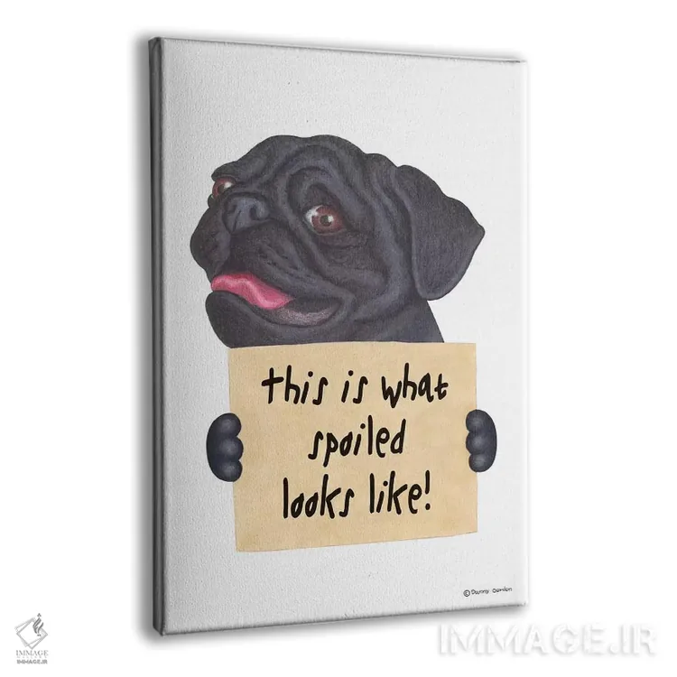 تابلو دکوراتیو پاگ مشکی اثر دنی گوردون - نمای پرسپکتیو محصول