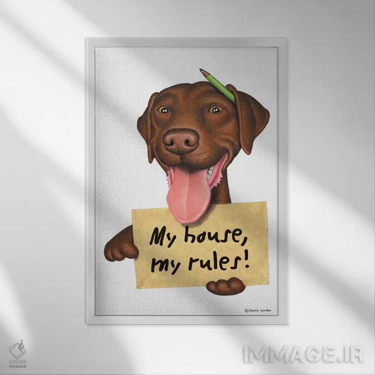 تابلو دکوراتیو خانه من، لابرادور رتریور اثر دنی گوردون - نمای قابدار سفید