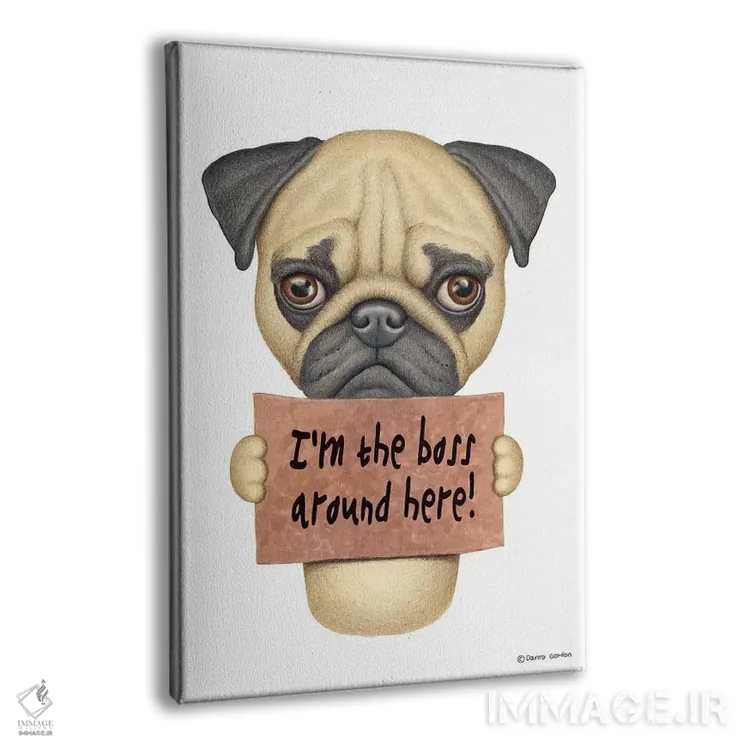تابلو دکوراتیو پاگ: من رئیس هستم اثر دنی گوردون - نمای پرسپکتیو محصول