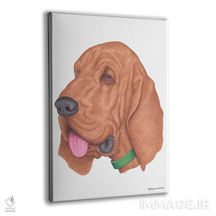 تابلو دکوراتیو بلادهاوند اثر دنی گوردون - نمای پرسپکتیو محصول