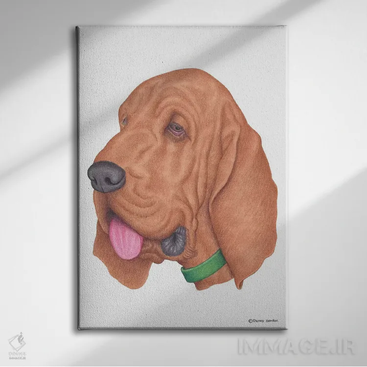 تابلو دکوراتیو بلادهاوند اثر دنی گوردون - نمای روبهرو روی دیوار