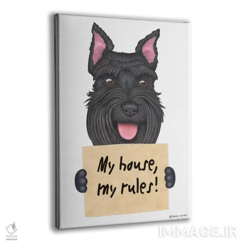 تابلو دکوراتیو شناوزر: خانه من اثر دنی گوردون - نمای پرسپکتیو محصول