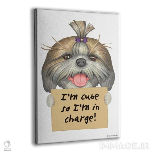 تابلو دکوراتیو شیه تزو: من بامزه ام اثر دنی گوردون - نمای پرسپکتیو محصول