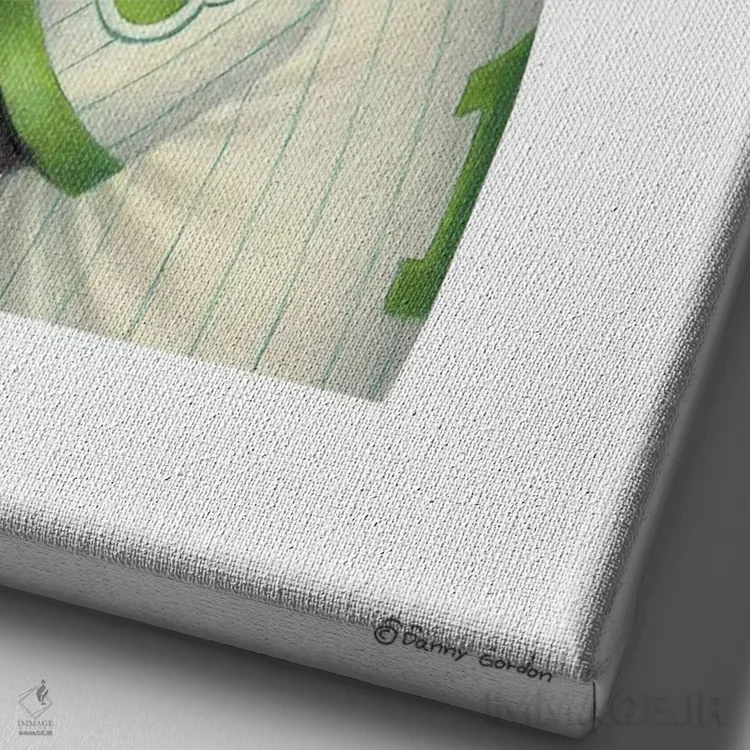 تابلو دکوراتیو روتوایلر بازیکن بیسبال اثر دنی گوردون - نمای نزدیک بافت بوم