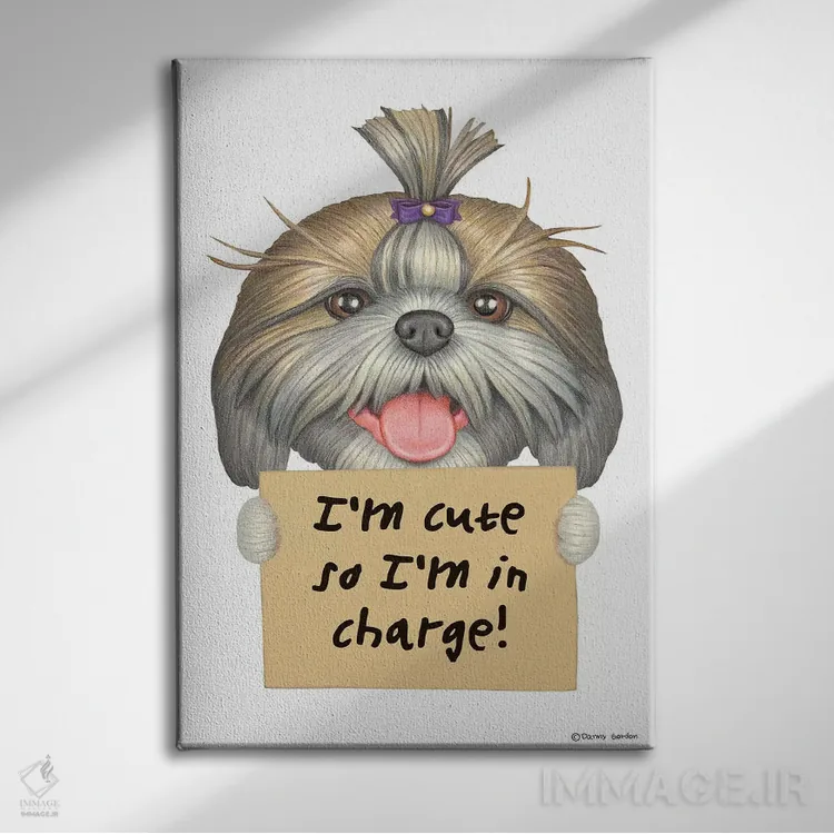 تابلو دکوراتیو شیه تزو: من بامزه ام اثر دنی گوردون - نمای روبهرو روی دیوار