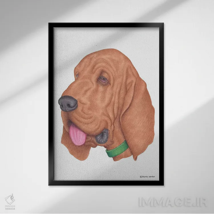 تابلو دکوراتیو بلادهاوند اثر دنی گوردون - نمای قابدار مشکی