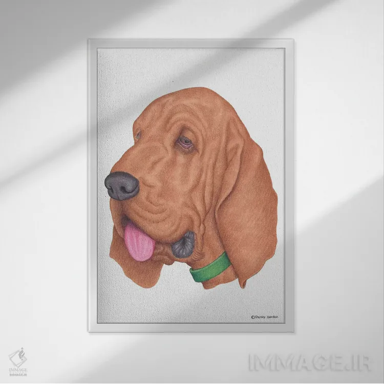 تابلو دکوراتیو بلادهاوند اثر دنی گوردون - نمای قابدار سفید