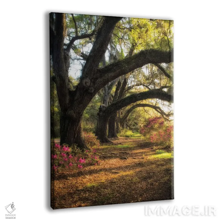 تابلو دکوراتیو زیر بلوط های همیشه سبز ۲ اثر دنی هد - نمای پرسپکتیو محصول