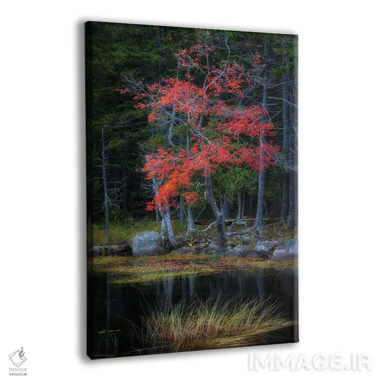 تابلو دکوراتیو انعکاس های قرمز ۱ اثر دنی هد - نمای پرسپکتیو محصول