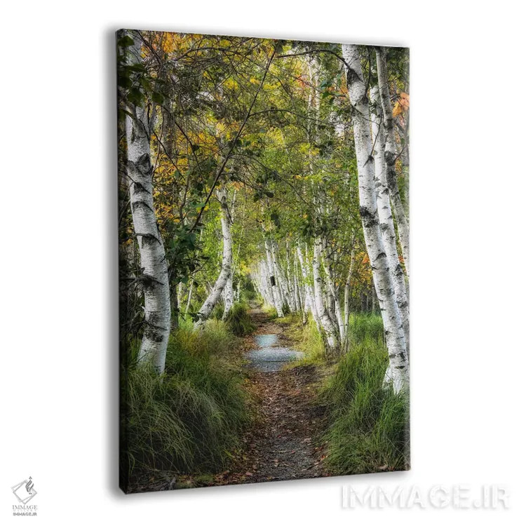 تابلو دکوراتیو مسیر توس ۱ اثر دنی هد - نمای پرسپکتیو محصول