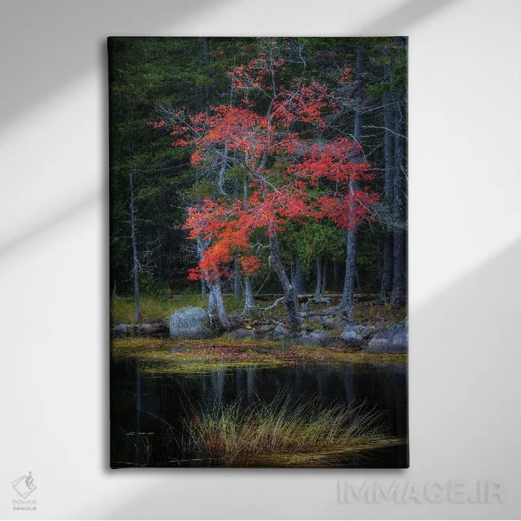 تابلو دکوراتیو انعکاس های قرمز ۱ اثر دنی هد - نمای روبهرو روی دیوار