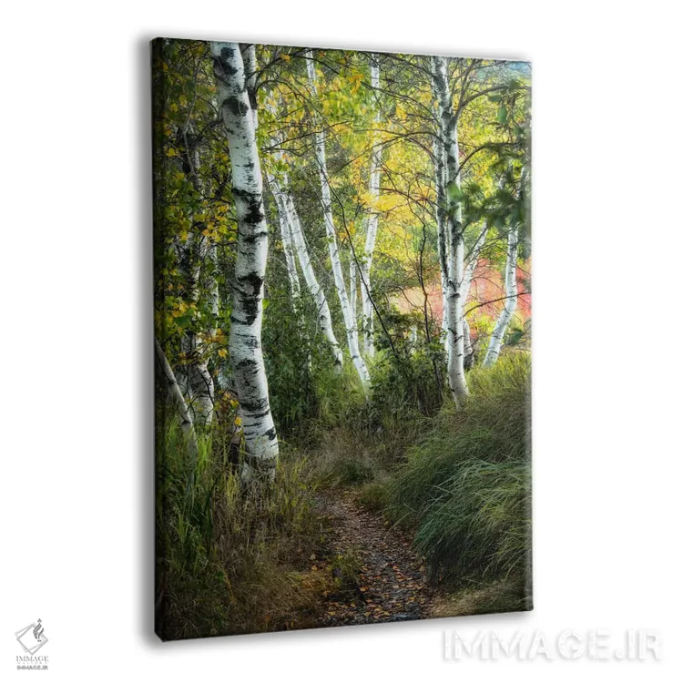 تابلو دکوراتیو مسیر توس ۳ اثر دنی هد - نمای پرسپکتیو محصول