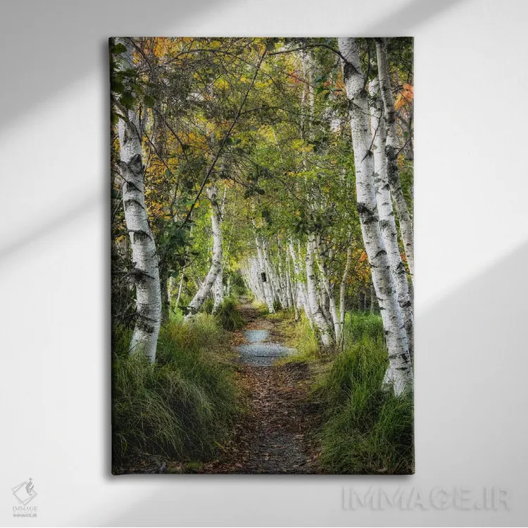 تابلو دکوراتیو مسیر توس ۱ اثر دنی هد - نمای روبهرو روی دیوار