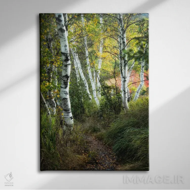 تابلو دکوراتیو مسیر توس ۳ اثر دنی هد - نمای روبهرو روی دیوار