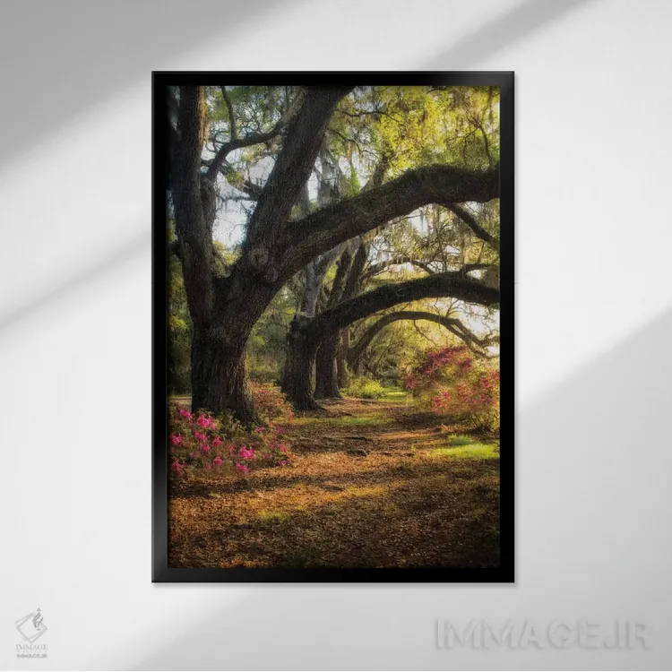 تابلو دکوراتیو زیر بلوط های همیشه سبز ۲ اثر دنی هد - نمای قابدار مشکی