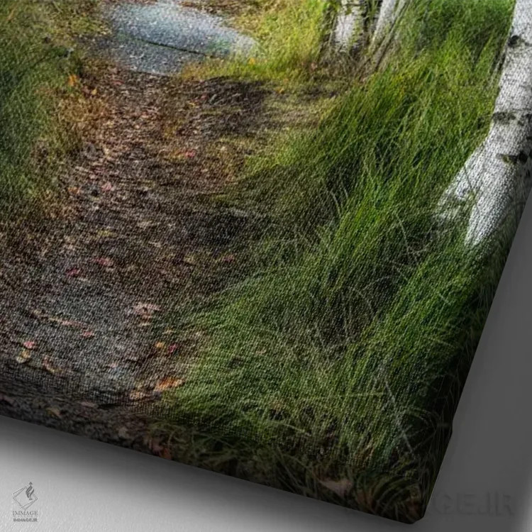 تابلو دکوراتیو مسیر توس ۱ اثر دنی هد - نمای نزدیک بافت بوم