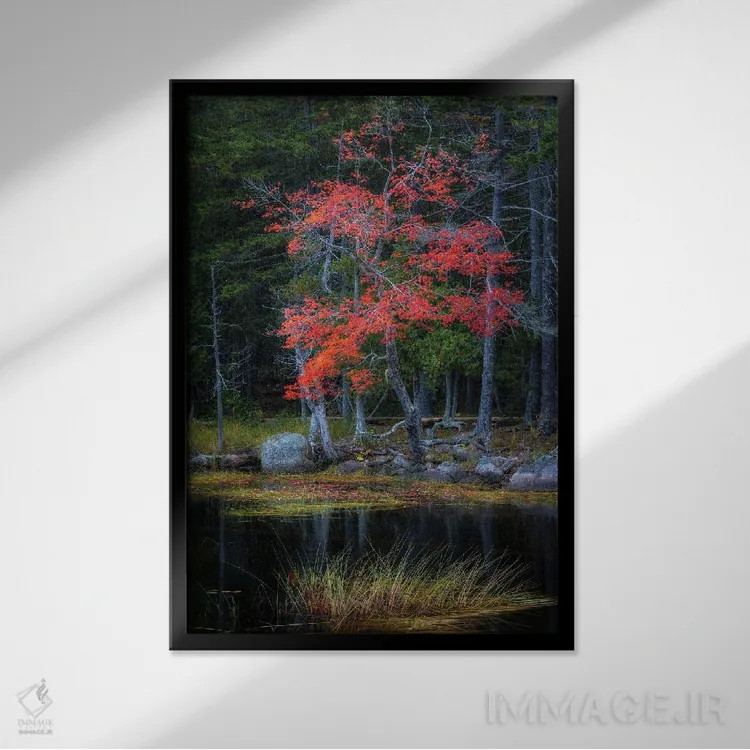 تابلو دکوراتیو انعکاس های قرمز ۱ اثر دنی هد - نمای قابدار مشکی