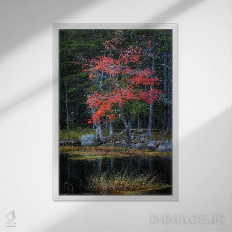 تابلو دکوراتیو انعکاس های قرمز ۱ اثر دنی هد - نمای قابدار سفید