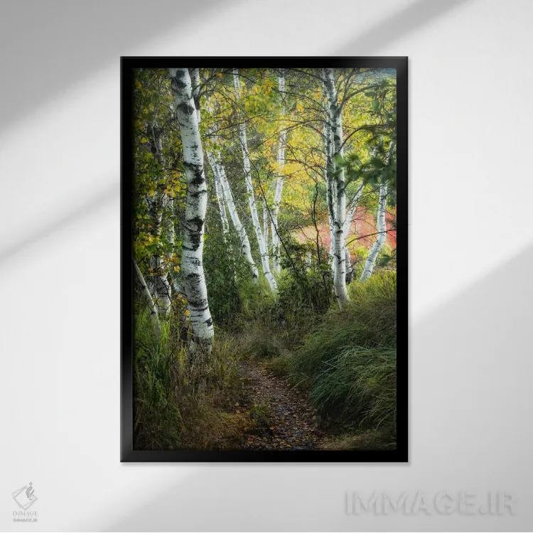 تابلو دکوراتیو مسیر توس ۳ اثر دنی هد - نمای قابدار مشکی