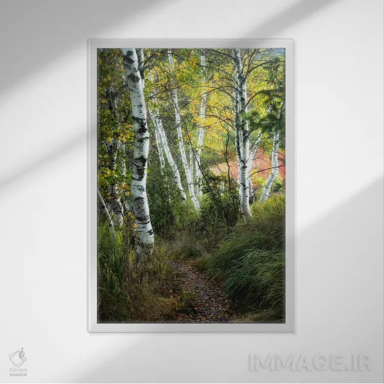 تابلو دکوراتیو مسیر توس ۳ اثر دنی هد - نمای قابدار سفید