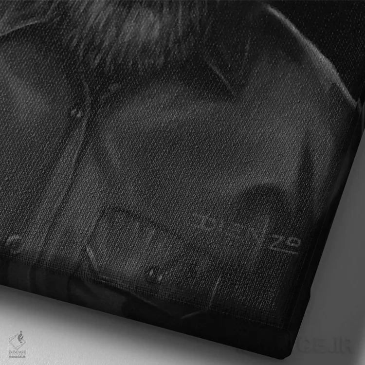 تابلو دکوراتیو مرد گرگ نما اثر دیینزو - نمای نزدیک بافت بوم