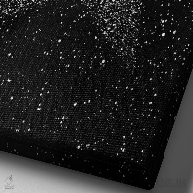 تابلو دکوراتیو ستاره بینی اثر راب دابی - نمای نزدیک بافت بوم