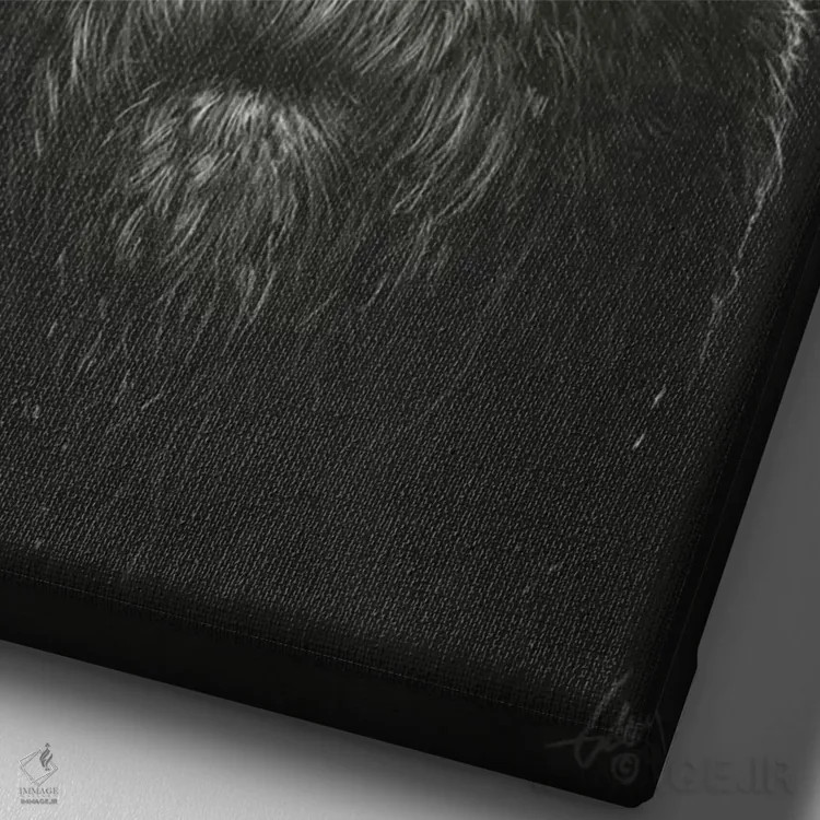 تابلو دکوراتیو نرد اثر دکتر لوکاس برژاک - نمای نزدیک بافت بوم