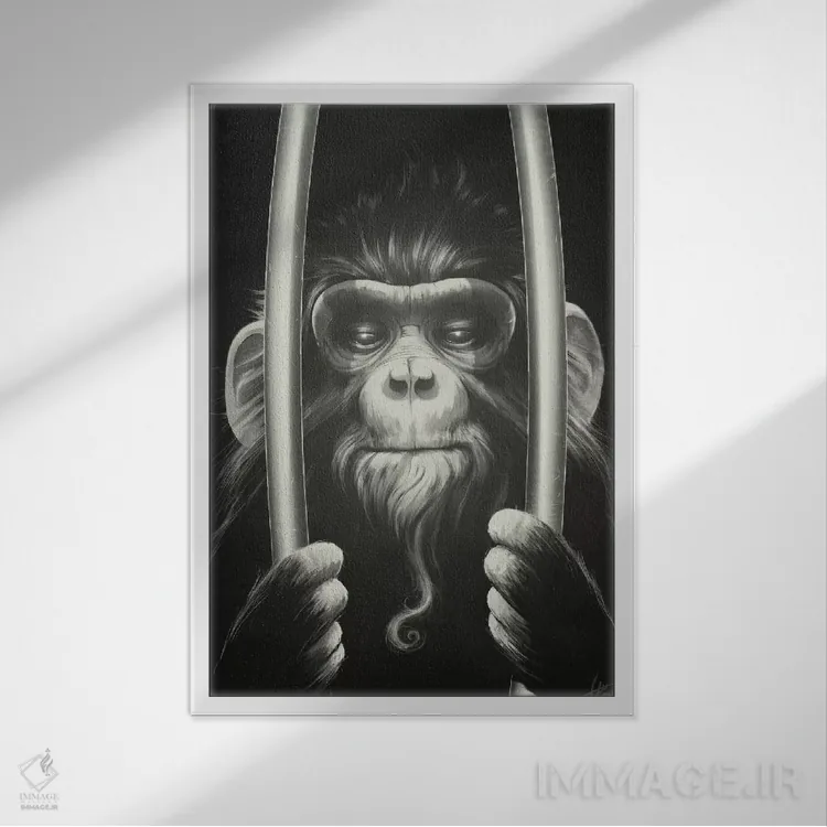 تابلو دکوراتیو زندانی ۲ اثر دکتر لوکاس برژاک - نمای قابدار سفید