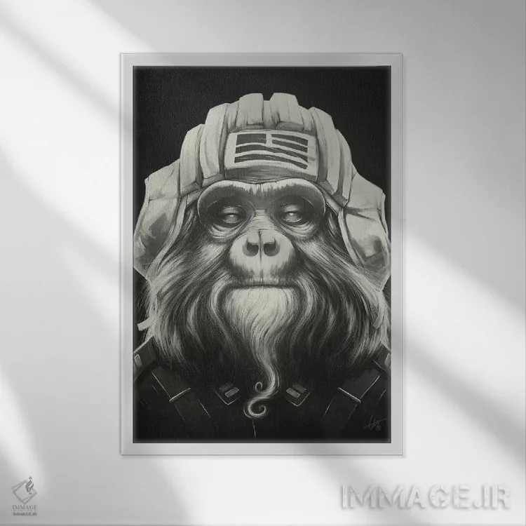 تابلو دکوراتیو فرمانده اثر دکتر لوکاس برژاک - نمای قابدار سفید