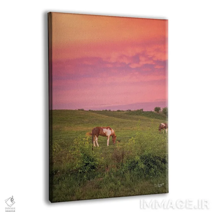 تابلو دکوراتیو اسب در غروب اثر دانی کوئلن - نمای پرسپکتیو محصول