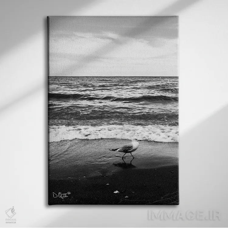 تابلو دکوراتیو مرغ دریایی I اثر دانی کوئلن - نمای روبهرو روی دیوار