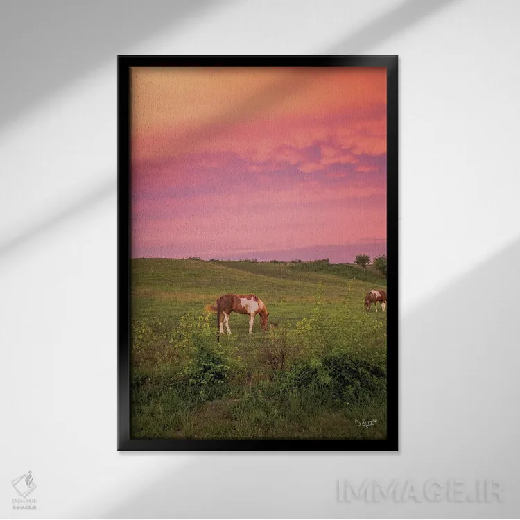 تابلو دکوراتیو اسب در غروب اثر دانی کوئلن - نمای قابدار مشکی