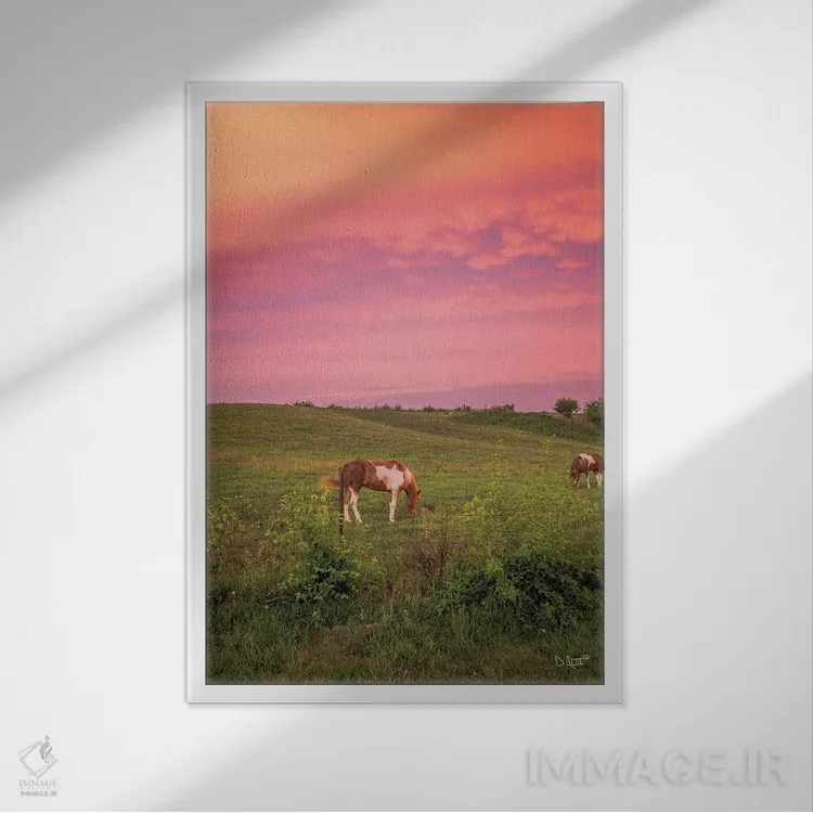 تابلو دکوراتیو اسب در غروب اثر دانی کوئلن - نمای قابدار سفید