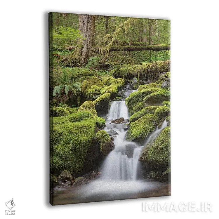 تابلو دکوراتیو جویبار آبشاری، دره رودخانه سول دوک، پارک ملی المپیک، واشینگ… اثر دان پاولسون - نمای پرسپکتیو محصول