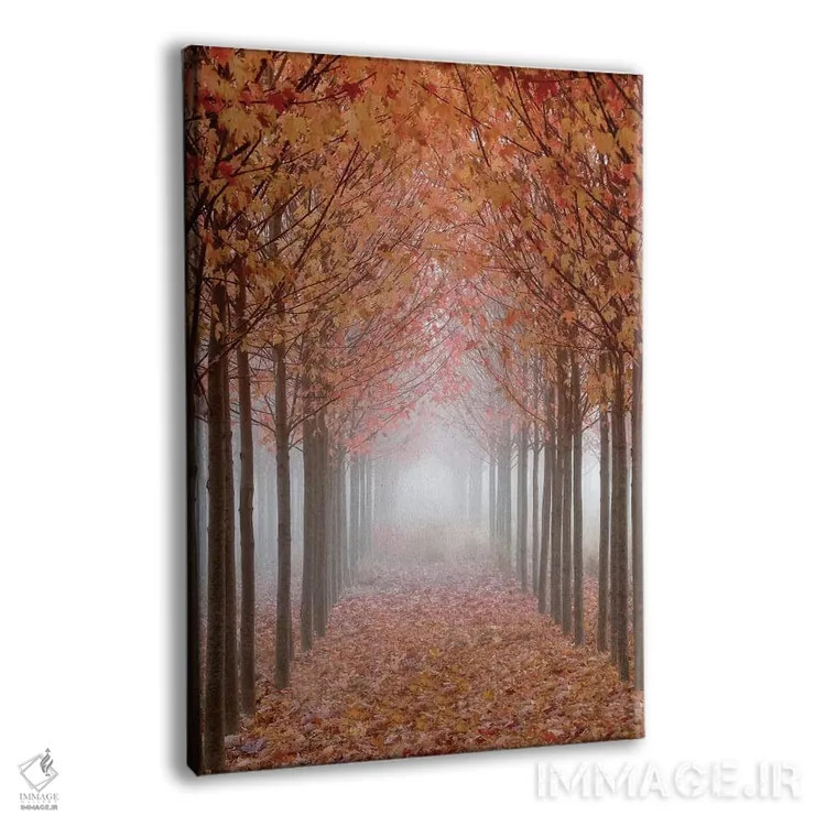 تابلو دکوراتیو پیاده راه مه آلود پوشیده از برگ، دره ویلامت، اورگان، آمریکا اثر دان پاولسون - نمای پرسپکتیو محصول