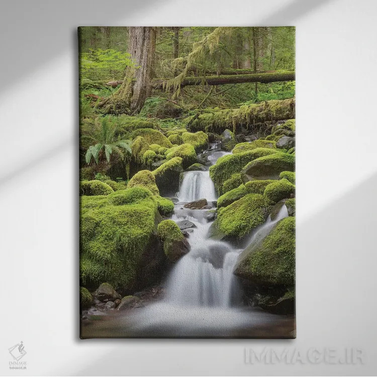 تابلو دکوراتیو جویبار آبشاری، دره رودخانه سول دوک، پارک ملی المپیک، واشینگ… اثر دان پاولسون - نمای روبهرو روی دیوار