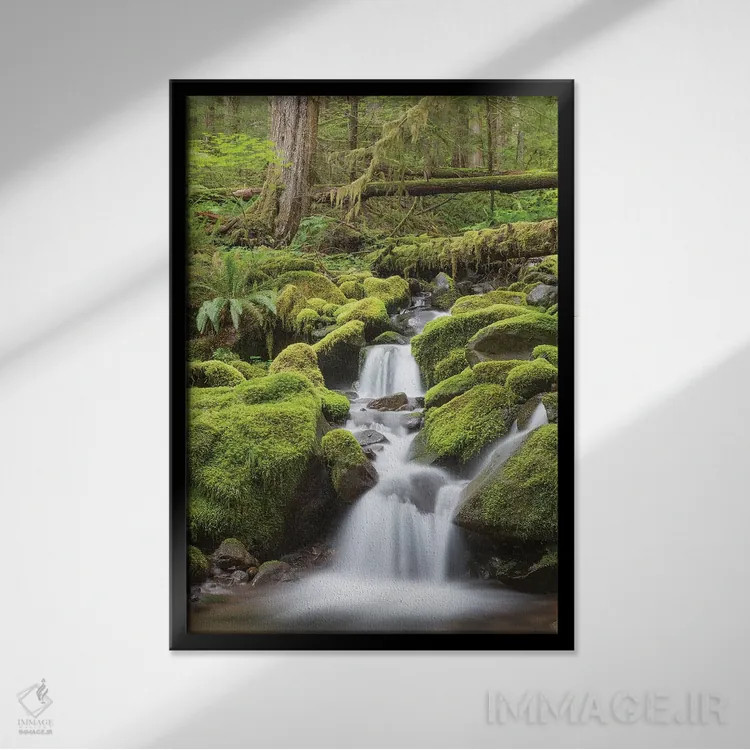 تابلو دکوراتیو جویبار آبشاری، دره رودخانه سول دوک، پارک ملی المپیک، واشینگ… اثر دان پاولسون - نمای قابدار مشکی