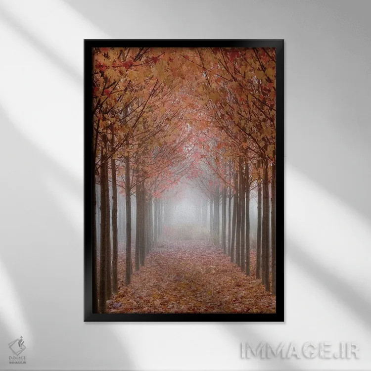 تابلو دکوراتیو پیاده راه مه آلود پوشیده از برگ، دره ویلامت، اورگان، آمریکا اثر دان پاولسون - نمای قابدار مشکی