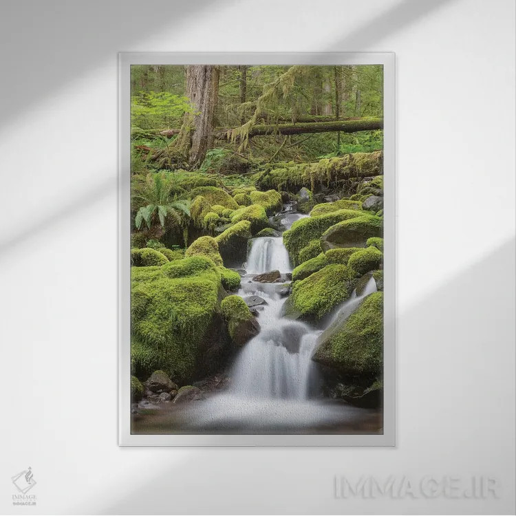 تابلو دکوراتیو جویبار آبشاری، دره رودخانه سول دوک، پارک ملی المپیک، واشینگ… اثر دان پاولسون - نمای قابدار سفید