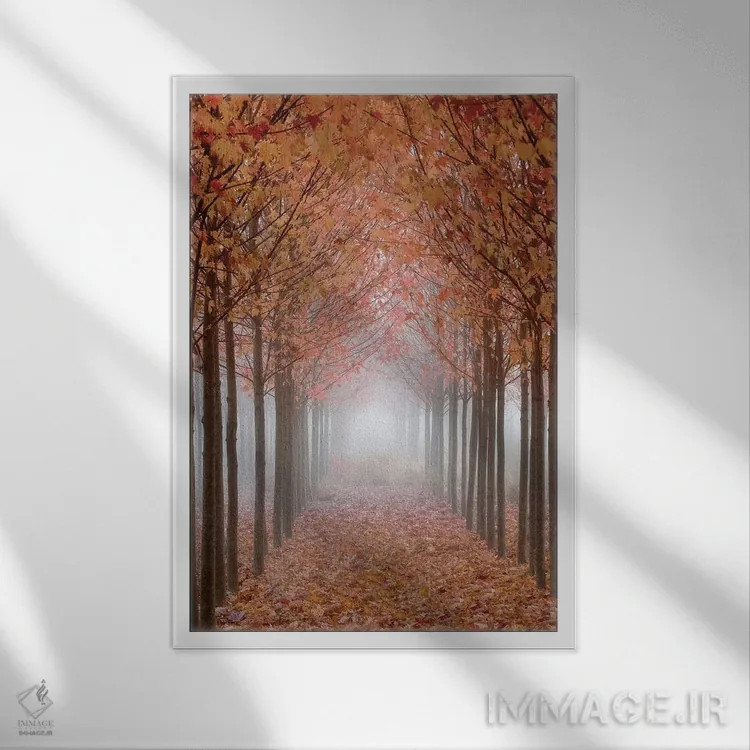 تابلو دکوراتیو پیاده راه مه آلود پوشیده از برگ، دره ویلامت، اورگان، آمریکا اثر دان پاولسون - نمای قابدار سفید