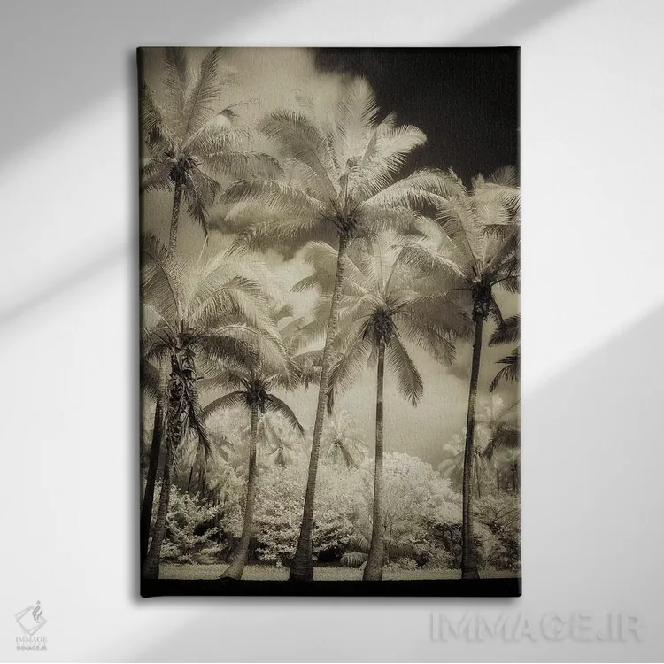 تابلو دکوراتیو نخل های سفید I اثر دیان پوینسکی - نمای روبهرو روی دیوار