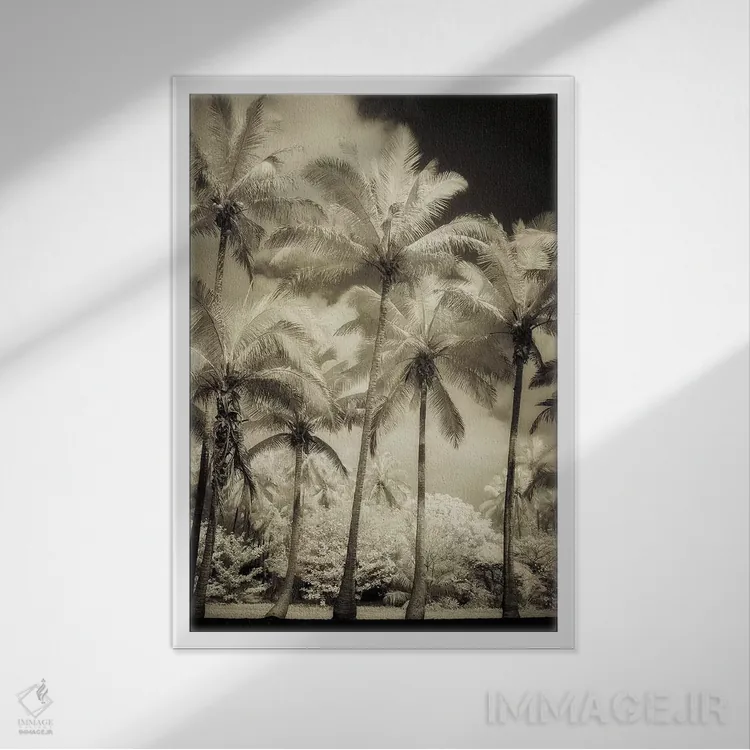 تابلو دکوراتیو نخل های سفید I اثر دیان پوینسکی - نمای قابدار سفید