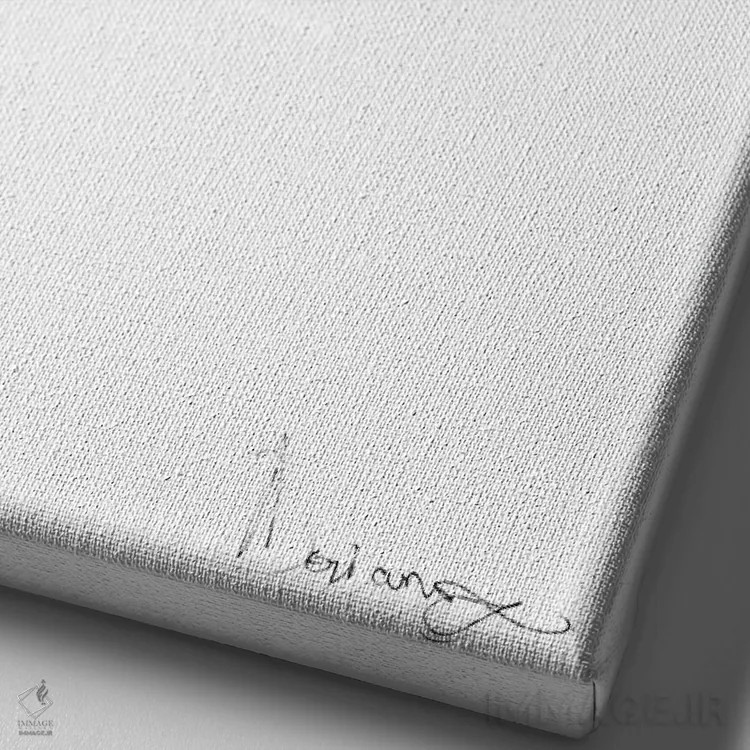 تابلو دکوراتیو میان وعده اثر دوریانا پوپا - نمای نزدیک بافت بوم