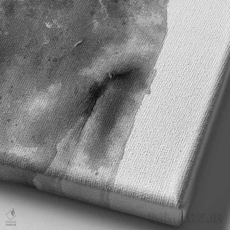 تابلو دکوراتیو تولوز اثر دوریانا پوپا - نمای نزدیک بافت بوم