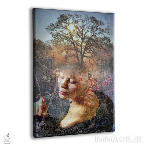 تابلو دکوراتیو صبح یخبندان اثر دومینیک بادوئل - نمای پرسپکتیو محصول